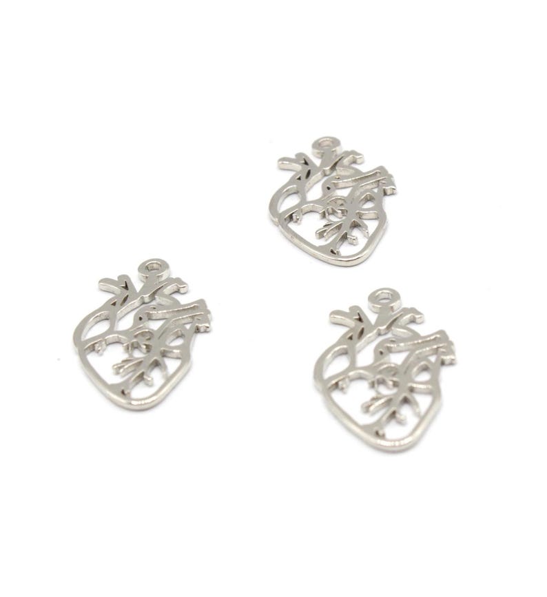 13x22mm Rhodium Anatomical Heart Charm