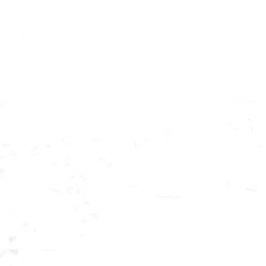 May include: A white background with a subtle, speckled texture.