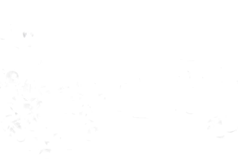 May include: A white background with a subtle, speckled texture.
