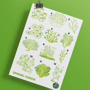 May include: A chart with 12 illustrations of different types of green coral, labeled with numbers 1 through 12. The chart is titled "SPRING GREEN".