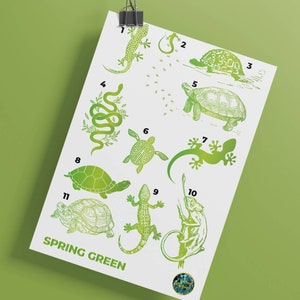 May include: A green and white illustration of a chameleon, turtle, snake, and lizard. The illustration is numbered 1 through 11. The text "SPRING GREEN" is at the bottom of the image.