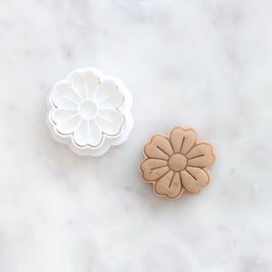 May include: A white plastic flower-shaped cookie cutter next to a baked cookie in the same shape. The cookie has a light brown color with detailed petal impressions. The cutter is made of white plastic.