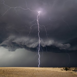 May include: A single bolt of lightning strikes down from a dark, stormy sky over a field of dry grass.