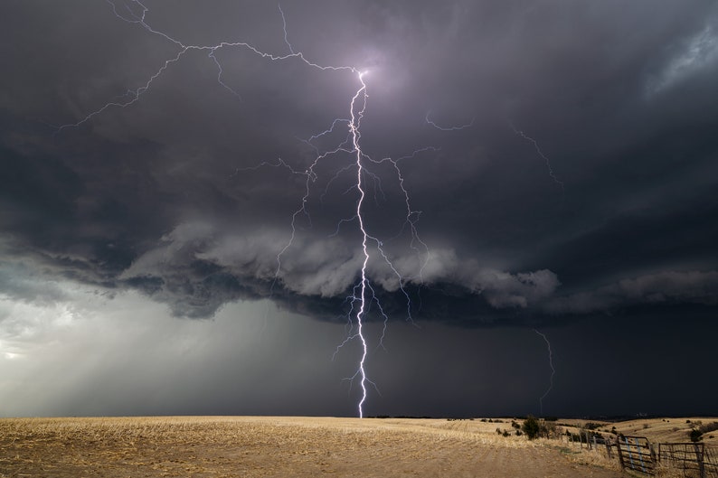 May include: A single bolt of lightning strikes down from a dark, stormy sky over a field of dry grass.