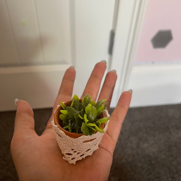 mini artificial succulent desk topper