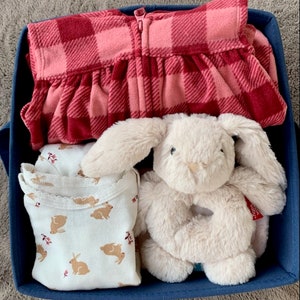 Baby Girl Gift Basket, Baby Girl shower gift, baby girl gift box, newborn gift, baby rattle, baby blanket, outfit, Bunny