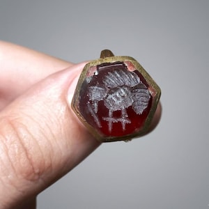 Könnte beinhalten: Ein Ring mit einem hexagonalen, tiefroten, durchscheinenden Stein in einer Metallfassung. Der Stein ist mit einer detaillierten, stilisierten Darstellung einer Biene graviert, wobei Flügel und Körpersegmente in die Oberfläche eingearbeitet sind.