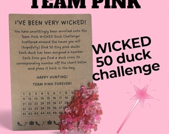 Wicked Glinda Team Pink, 50 Duck Challenge, Elphaba, Team Green, 100 Duck, Hide-a-Duck Kit, Hide the Duck, Elf Prop, Tiny Duck, 50 pcs Ducks