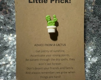 Miniature Cactus Gift, Valentines Day Gift, Prick, Cacti, Tiny Cactus, Gift for Boyfriend, Gift for Girlfriend, Succa Pocket Hug, Magnet