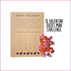 16 pcs Valentines Mini Duck Challenge Kit, Hide-a-Duck Kit, Miniature Duck Scavenger Hunt, Family Fun, Tiny Duck, 100 Duck Challenge