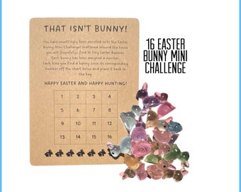 16 pcs Easter Bunny Mini Duck Challenge Kit, Hide-a-Duck Kit, Miniature Duck Scavenger Hunt, Family Fun, Tiny Duck, 100 Duck Challenge