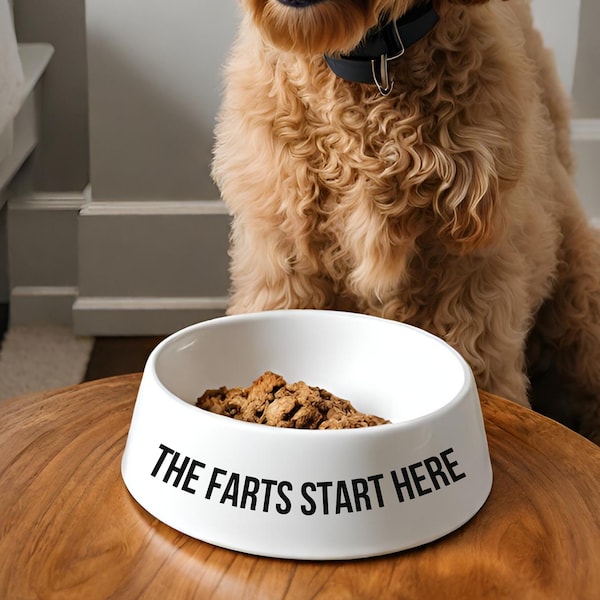 Funny Dog Bowls Etsy