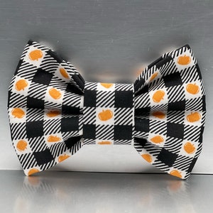 May include: Black and white checked bow tie with orange pumpkin accents.