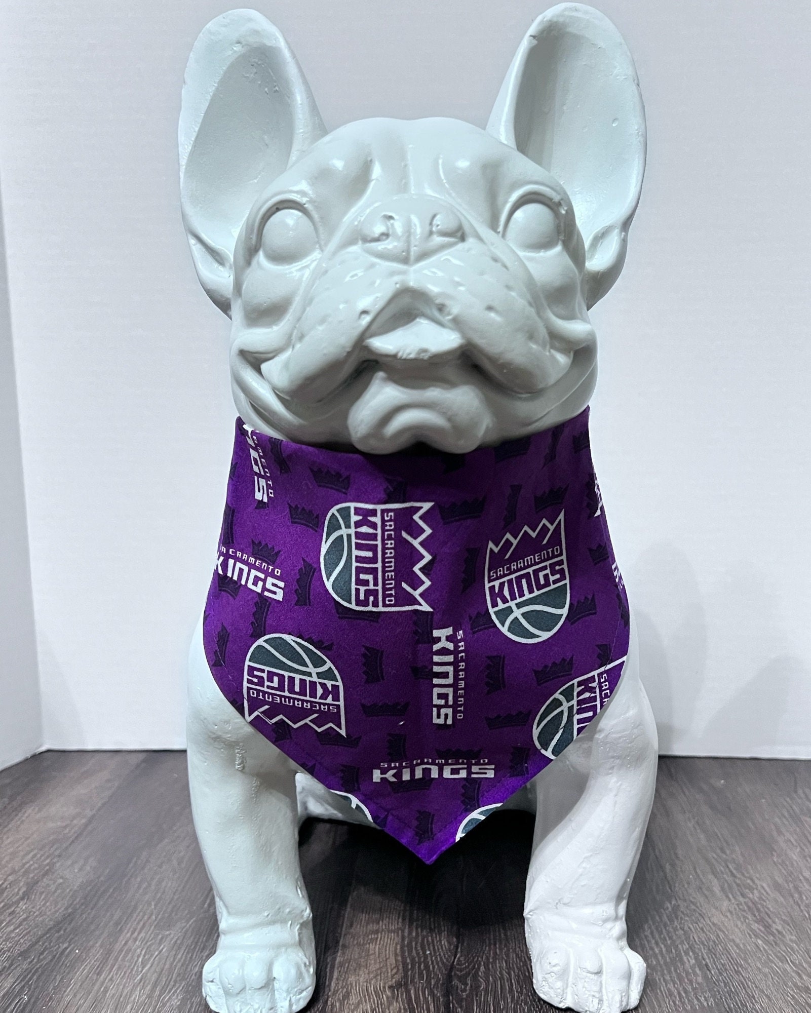 All Star Dogs: Sacramento Kings Pet apparel and accessories