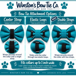 May include: An infographic for Winston's Bow Tie Co. showing three pet bow tie attachment options: a single center strap, two elastic loops, and two fastening straps. The teal bow ties are displayed with close-ups of each attachment style. Text indicates it fits collars up to 1 inch wide.