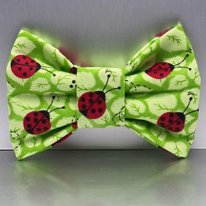 Dog Bow tie. Lady Bug Dog bow tie, Gift, Cat bow ties, bow ties, Cat bows, extra large dog bow ties, dog accessories, mini bows, dog bows