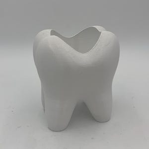 Tooth shaped toothbrush holder