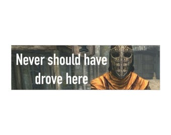 Ímã de carro com meme de diálogo de guarda | Skyrim "Nunca deveria ter dirigido por aqui"