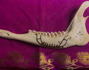 Swedish Petroglyph inscribed on REAL deer jaw bone | Heathenry | Norse Pagan