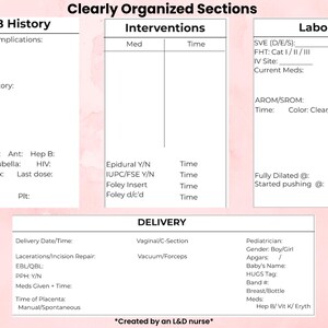 Ld Routine Template L&D Nurse Report Sheet | Printable, Editable Canva Template (digital ...
