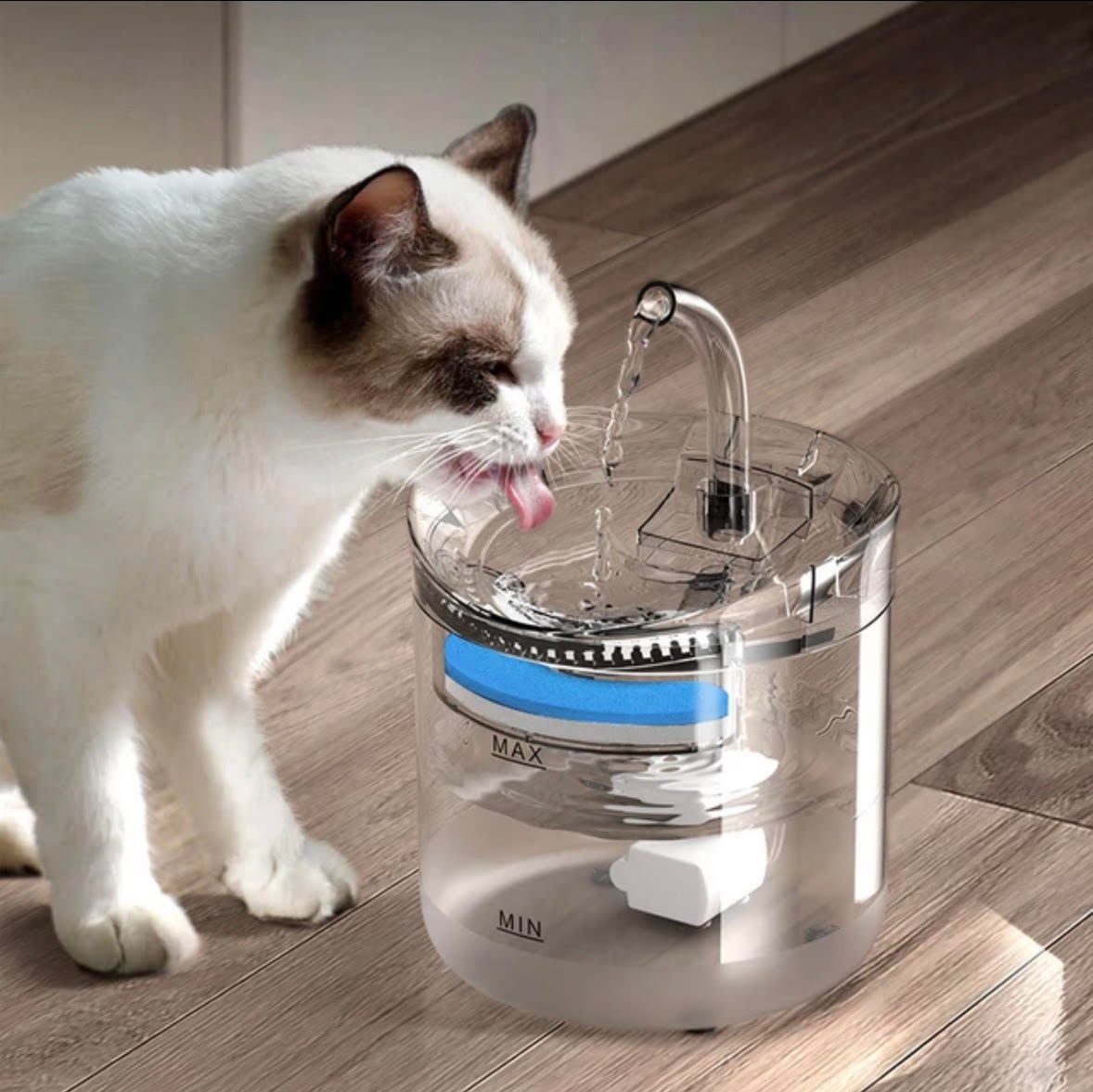 auto cat waterer