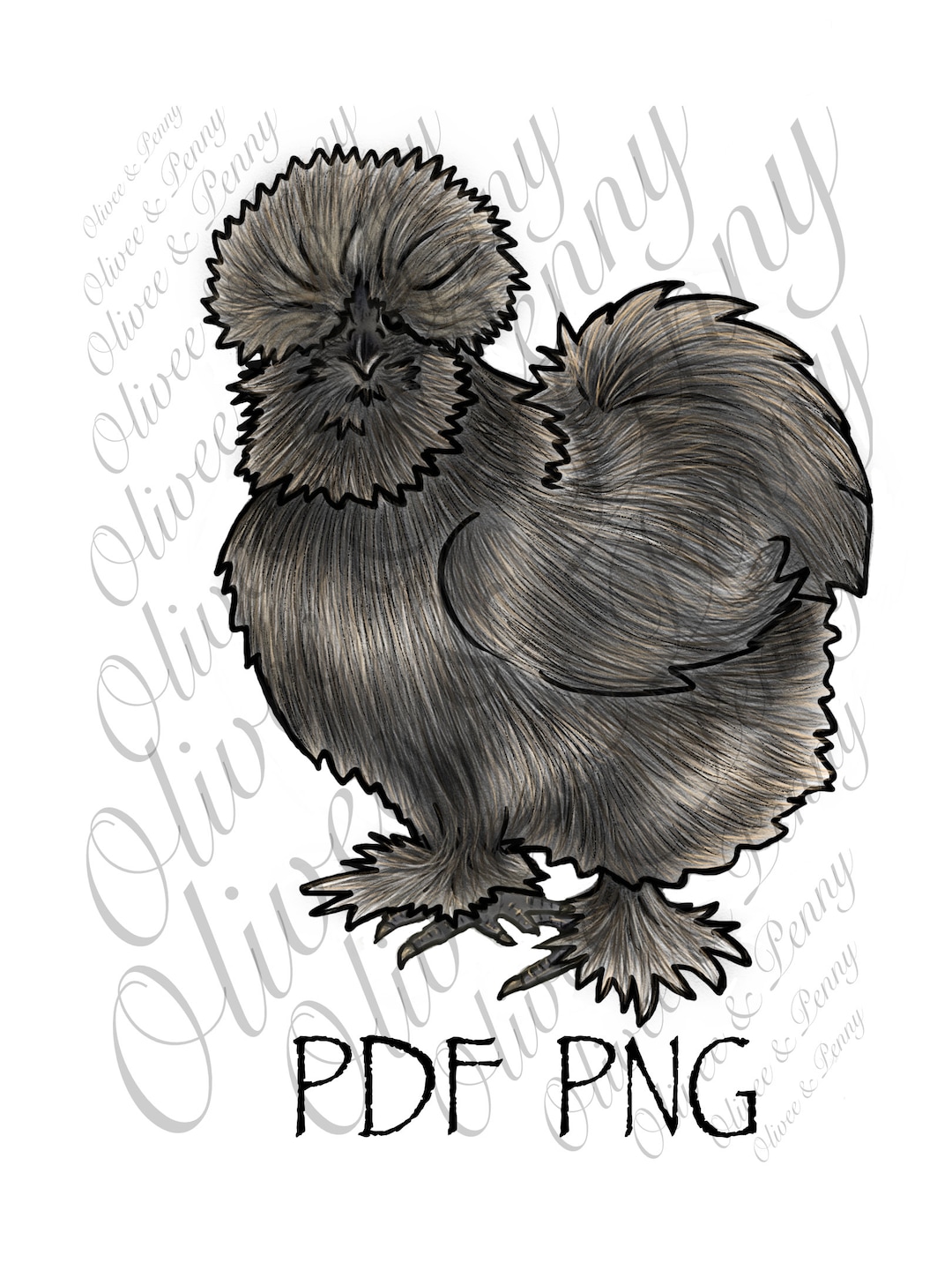 Silkie Chicken Colored PNG PDF and SVG Drawing Etsy