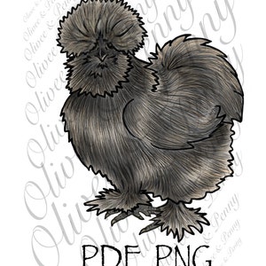 Dibujo de pollo sedoso en formato PNG, PDF y SVG