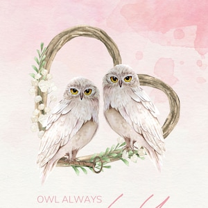 Eule always love you Digitale Kunst (Hintergrund Pink), Eule Valentinstag, Eule Valentinstag, Frau Valentine, Kinder Valentinstag, Verlobte Valentinstag
