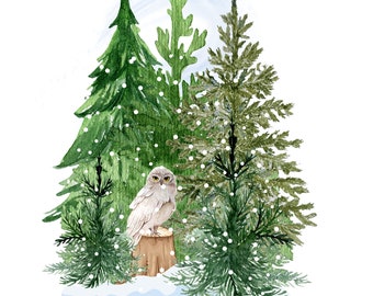 Snow Owl Digital Art Download, Winter Wonderland Woodland Series, evergreen tree, snow scene, woodland animals, hygge style, owls