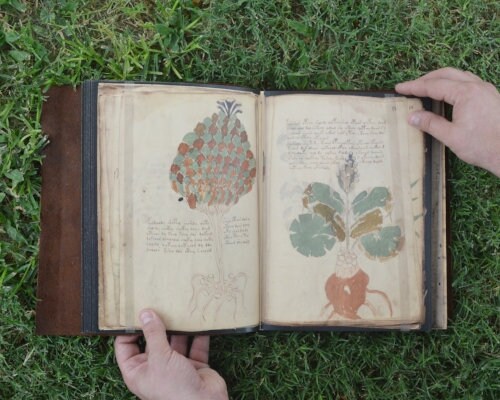 ヴォイニッチ手稿（Voynich Manuscript）
