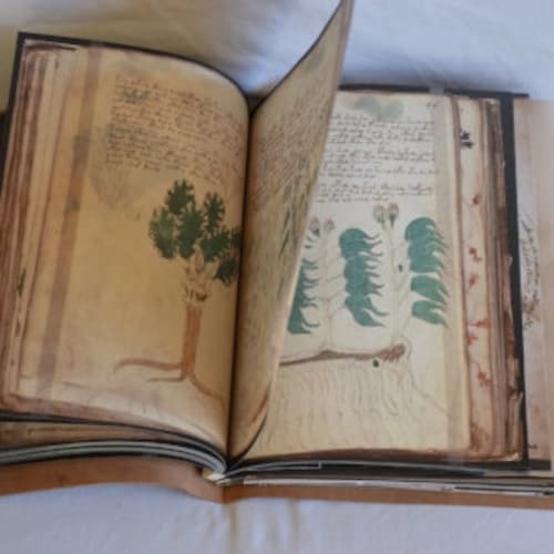 ヴォイニッチ手稿複製本（The Voynich Manuscript）