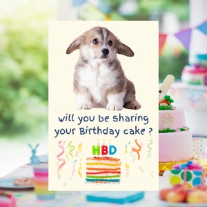 Tarjeta de cumpleaños de perro divertido, tarjeta de cumpleaños de perro, tarjeta de feliz cumpleaños, tarjeta de cumpleaños de Corgi, regalo de dueño de perro lindo, regalo de amante de mascotas