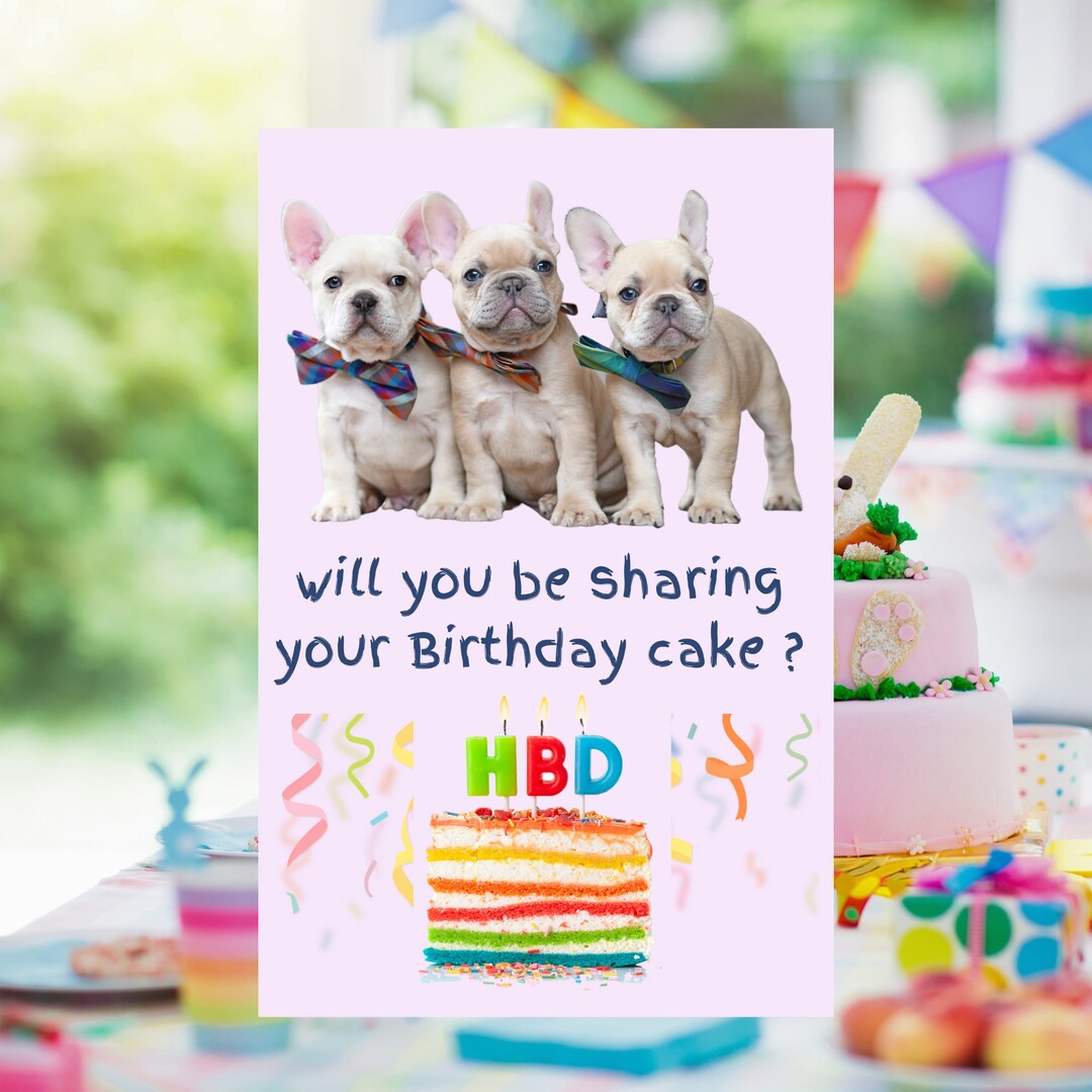 Funny Dog Birthday Card, Birthday Card From Dog, Happy Birthday Card ...