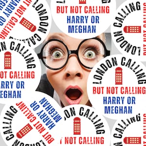 Stickers for Prince Harry, Sticker Sheet for Prince Harry and Meghan, Prince Harry Joke, World Privacy Tour, Round 2.5 inch Stickers