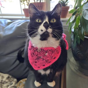 Gehaakte honden- en kattenbandana *klaar product*
