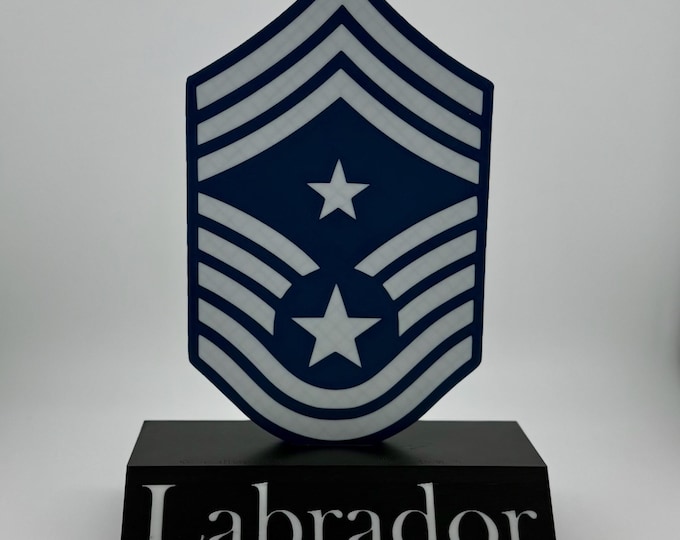 Customizable Rank and Name Tag