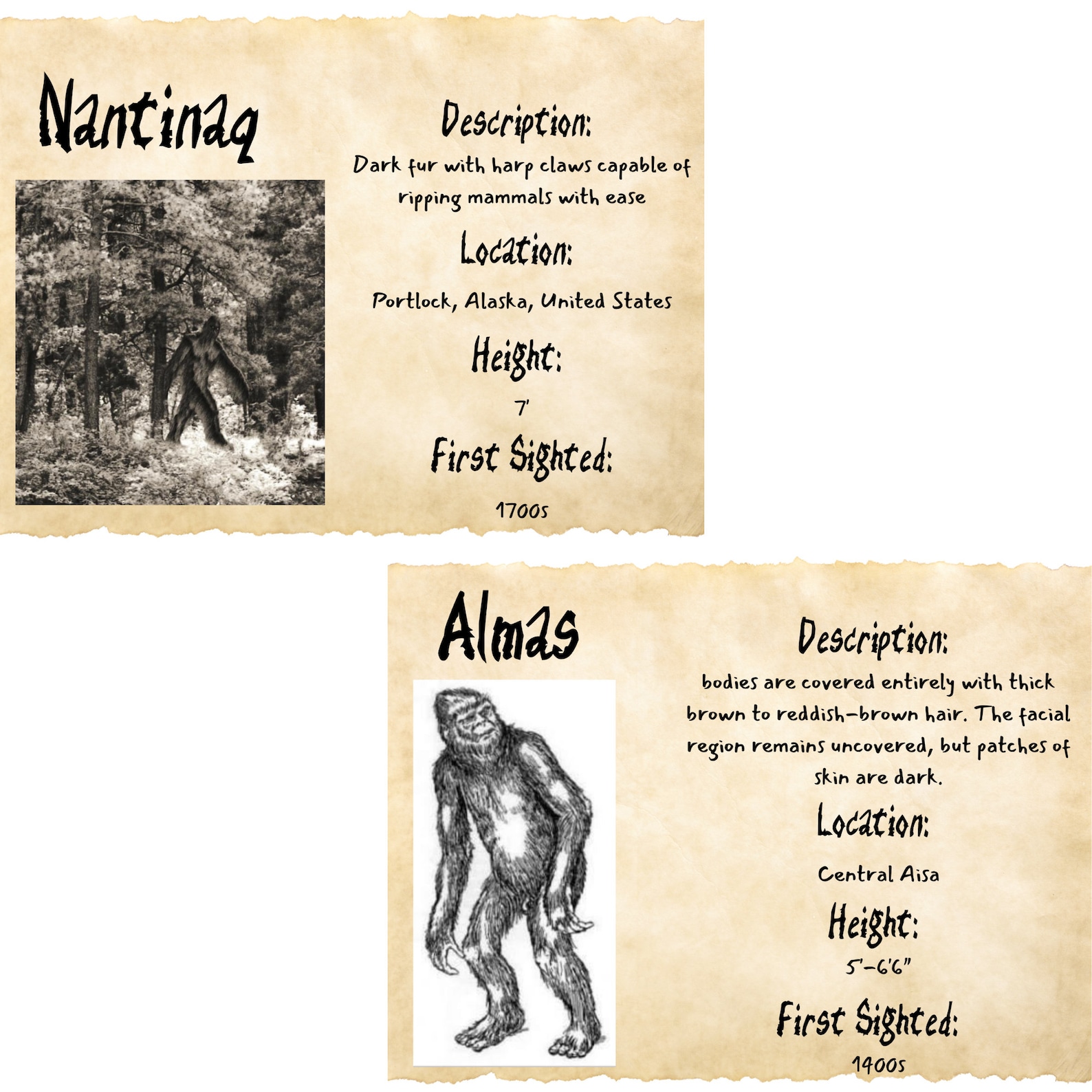 Bigfoot Calendar, 2024 Bigfoot Calendar, Sasquatch Calendar, Yowie