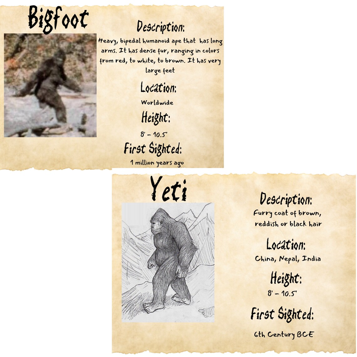 Bigfoot Calendar, 2024 Bigfoot Calendar, Sasquatch Calendar, Yowie