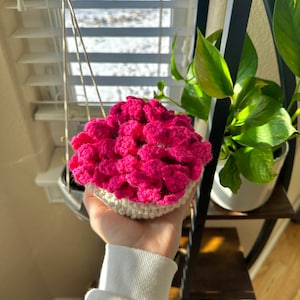 Flower Pot Coasters