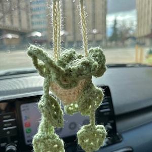 Hanging Plant