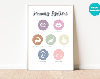 May include: A printable chart with the title "Sensory Systems" and illustrations of the different sensory systems: visual, gustatory, proprioceptive, vestibular, tactile, auditory, and olfactory.