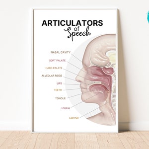 Articulators of Speech Poster: SLP Office Decor (Digital Download)