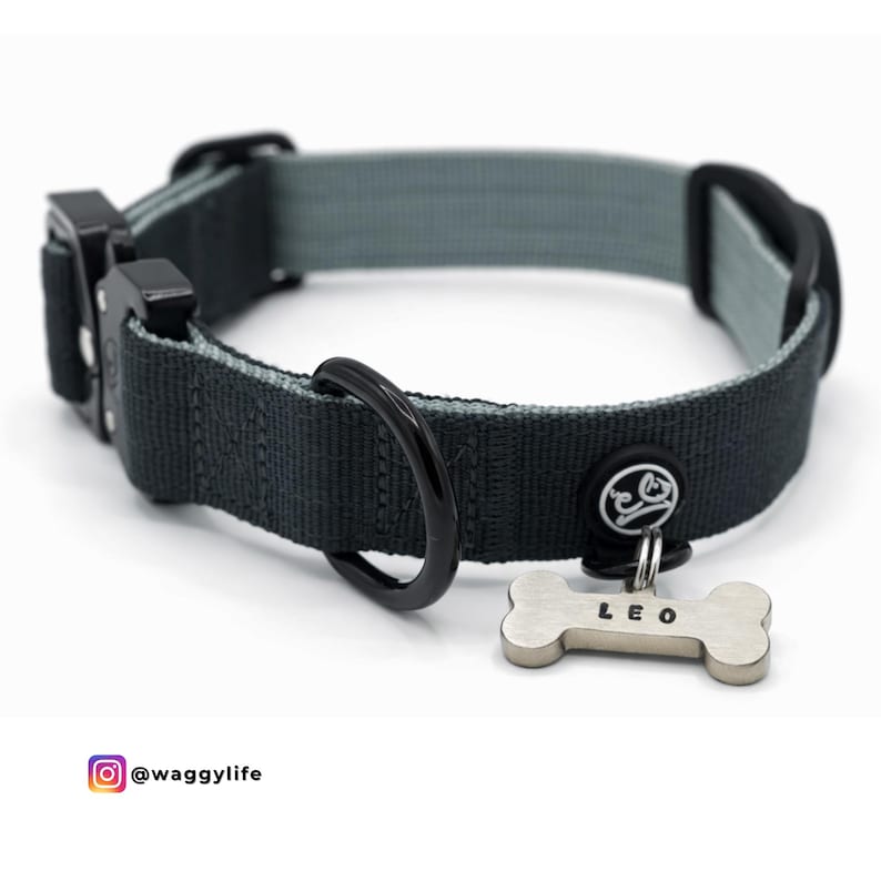 A black and gray dog collar with a bone-shaped tag that reads "LEO". The collar has a black metal buckle and a black metal D-ring. The tag is silver. The collar is approximately 1 inch wide. Dog collar with custom engraved dog tag personalized for pets, durable metal dog name tag for collar
