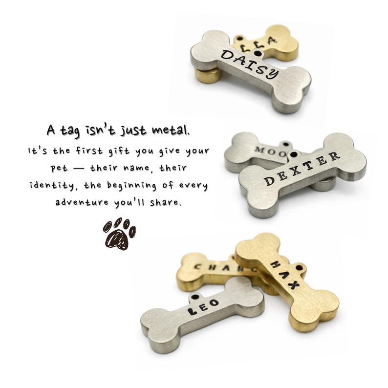 Hand stamped custom dog tags for pets in brass and silver, personalized dog ID tags engraved with pet names
