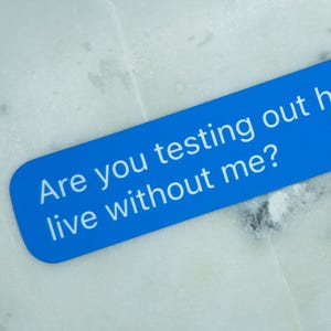 Meme Vinyl Sticker "Are you testing out how it feels to live without me?" | Premium Weatherproof, UV Protected, Laptop, Phone, Car Decal