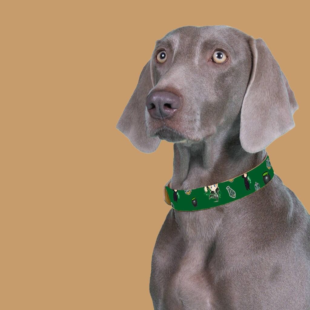 Slytherin Harry Potter Hogwarts Personalized Custom Pet Dog Etsy