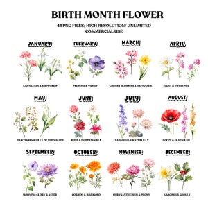 Birth Month Flowers Clipart Bundle Commercial Use Watercolor Birth Flower Digital Design Bundle PNG Files Downloadable Clipart Watercolor