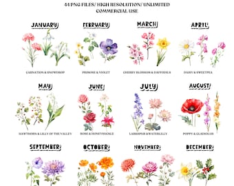 Mes de nacimiento flores clipart paquete uso comercial acuarela nacimiento flor diseño digital paquete PNG archivos descargables clipart acuarela