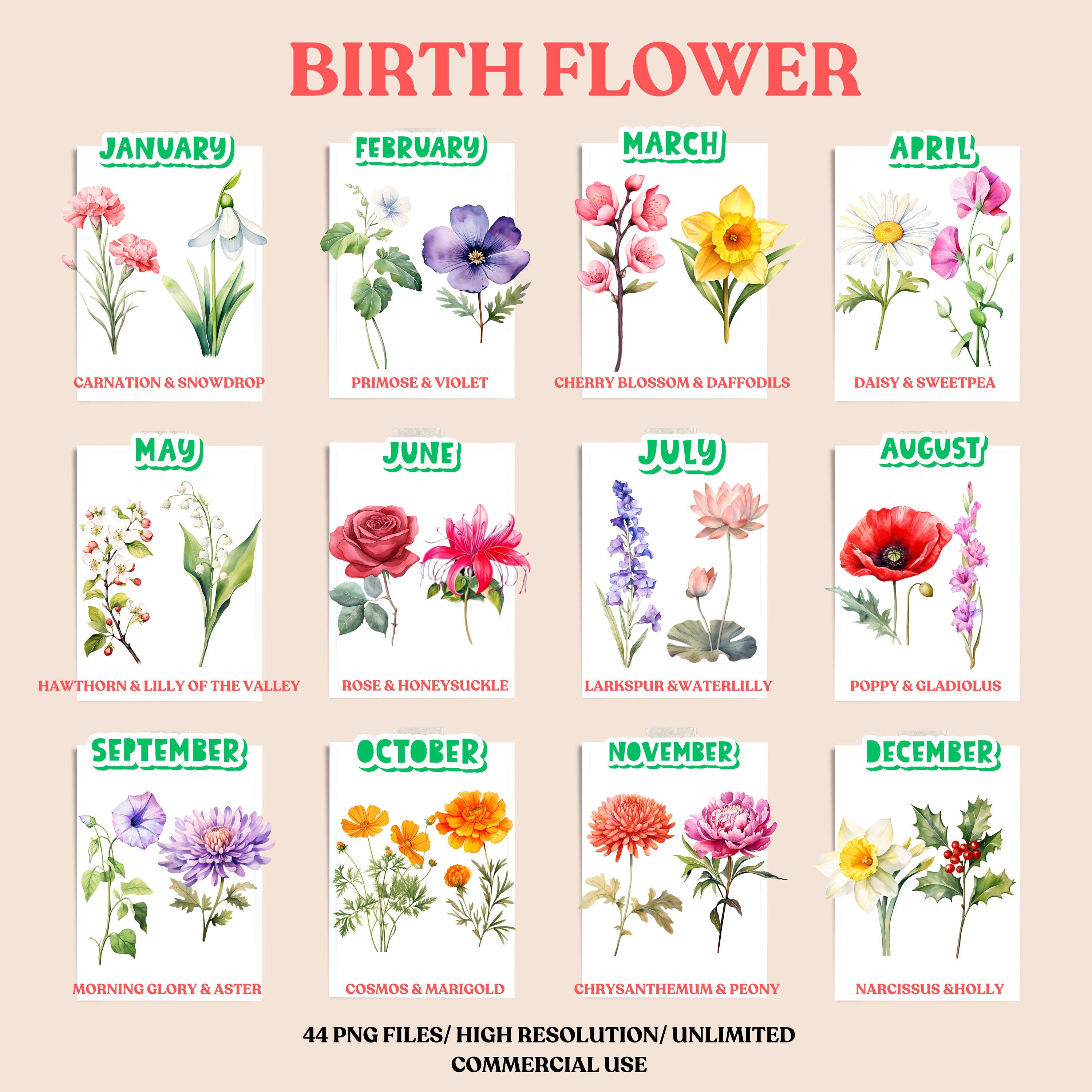 Birth Month Flowers Clipart Bundle Commercial Use Watercolor Birth