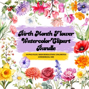Birth Month Flowers Clipart Bundle Commercial Use Watercolor Birth Flower Digital Design Bundle PNG Files Downloadable Clipart Watercolor